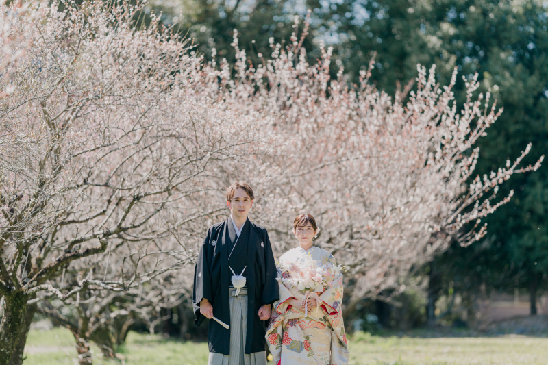 梅の花が咲いていました