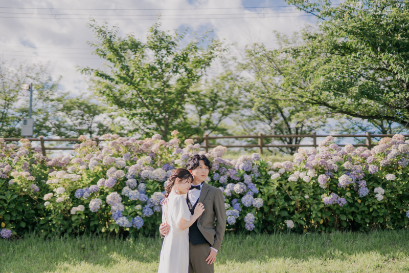 なんとこちらにも紫陽花が!!