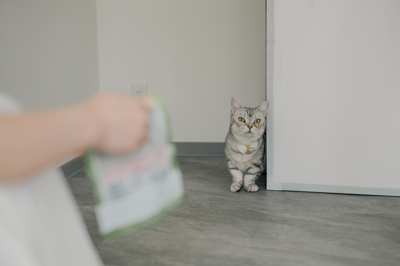 まずはおやつで.....