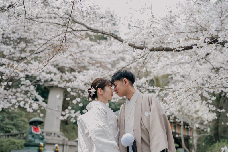 桜..♡