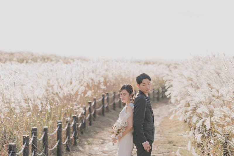 道も歩きやすくなっています