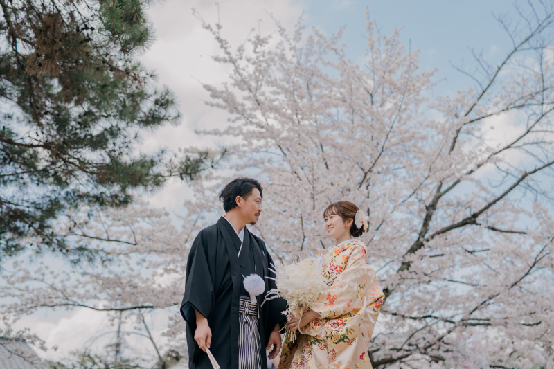 桜満開の東山
