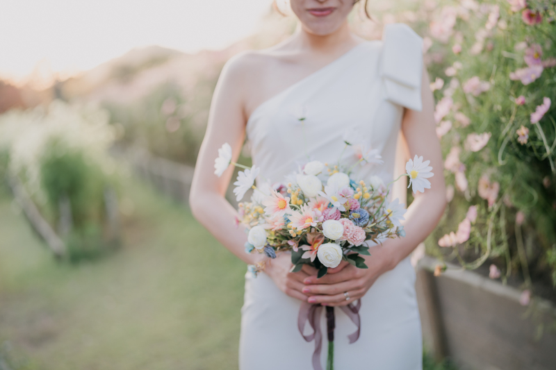 コスモスも見頃をむかえていました