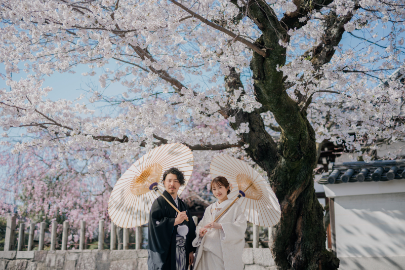 妙顕寺も桜の名所