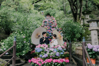 紫陽花いっぱいの長谷寺にて【和装1着プラン】