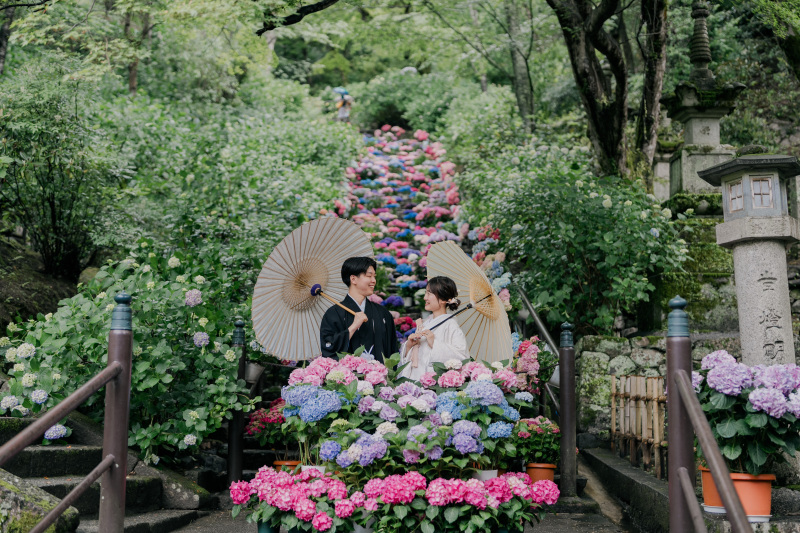 紫陽花いっぱいの長谷寺にて【和装1着プラン】
