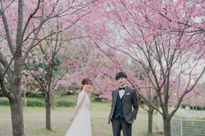 真っピンクな桜が!