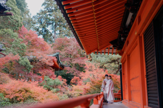 秋の京都を満喫