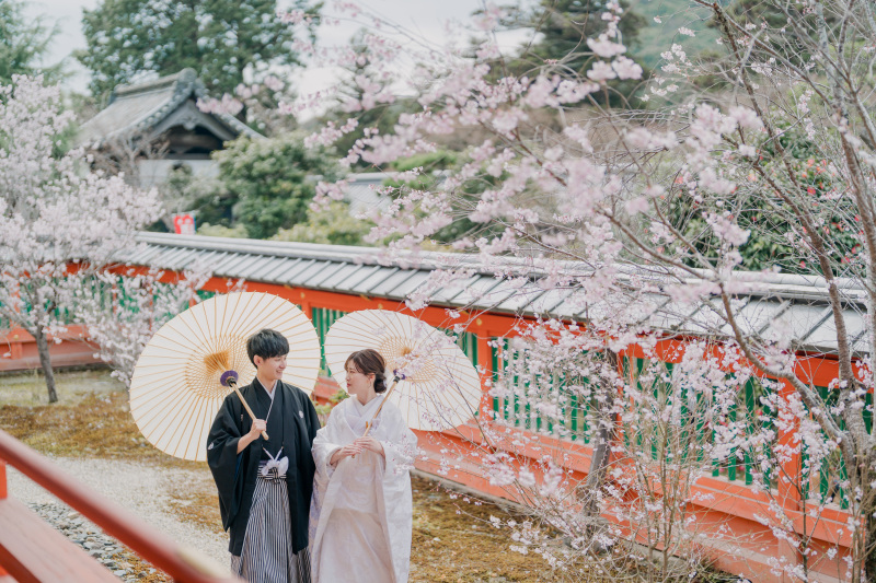 毘沙門堂桜始まる!