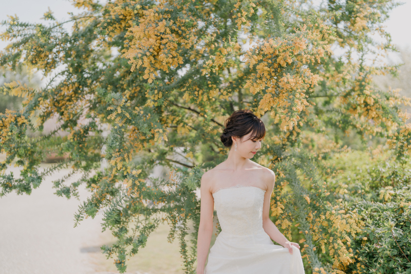 ラフエイト_衣装を持ち込める