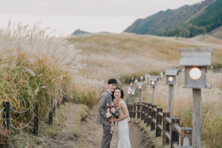 携帯での写真撮影