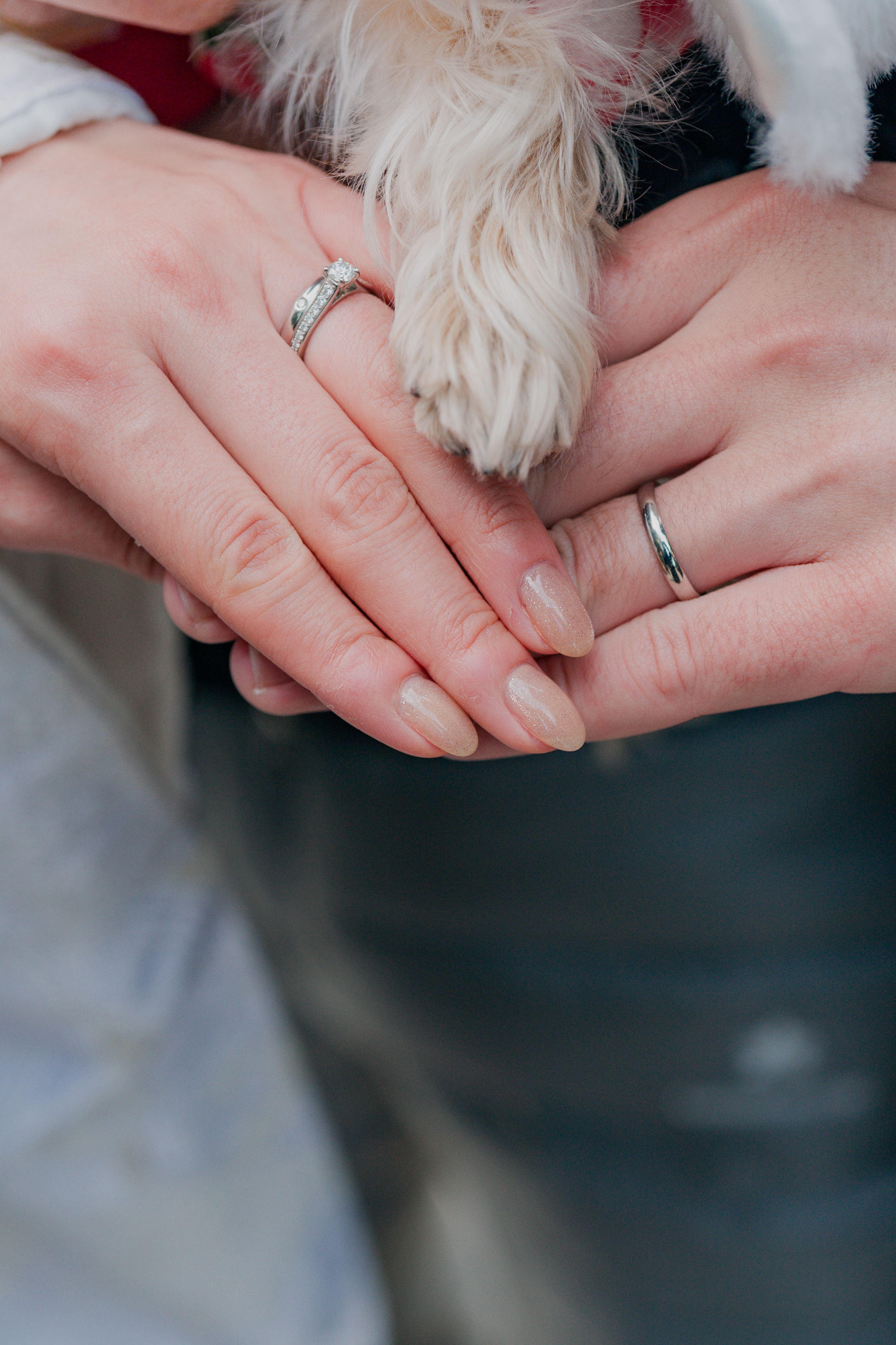 20以上ある撮影シーン