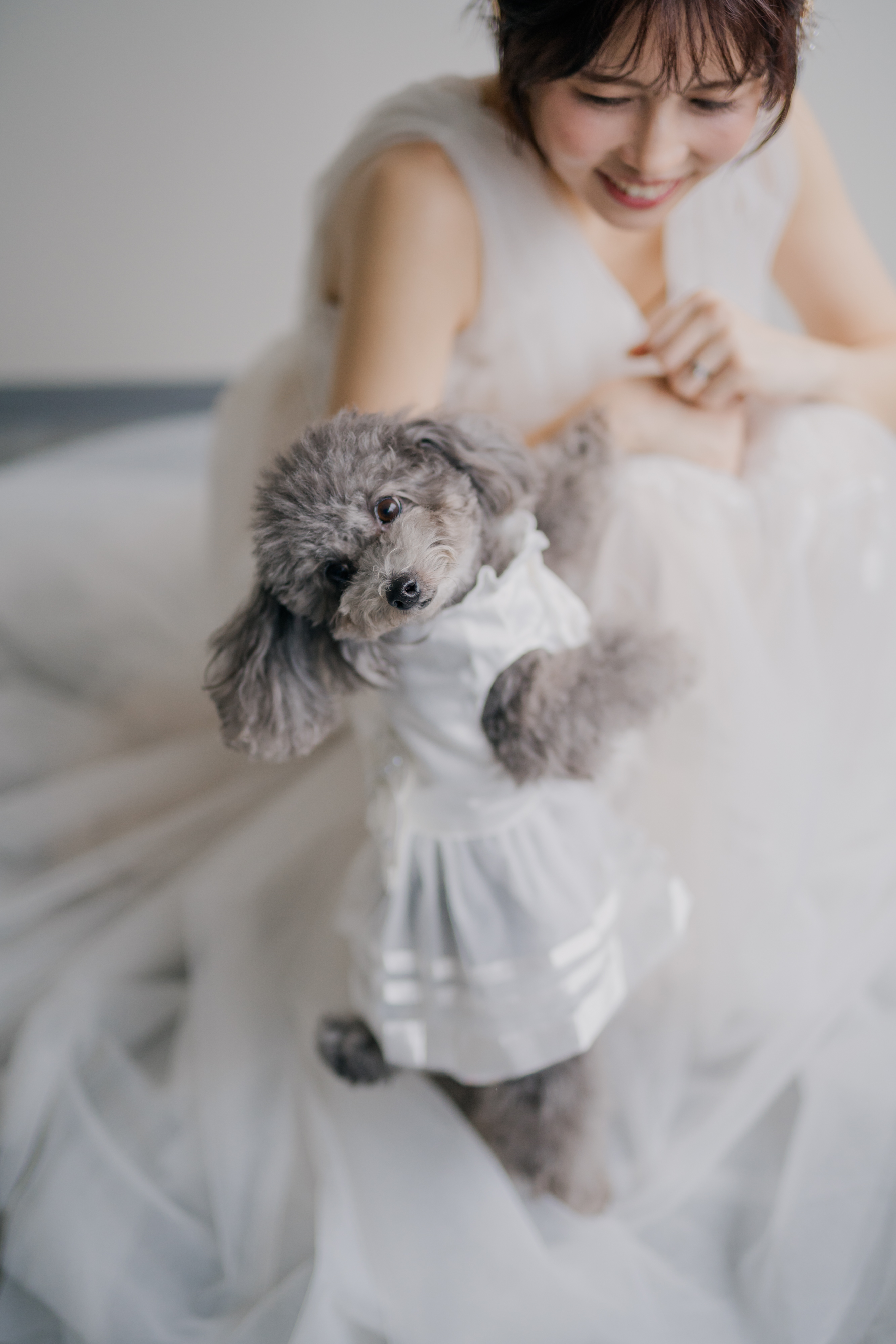 20以上ある撮影シーン