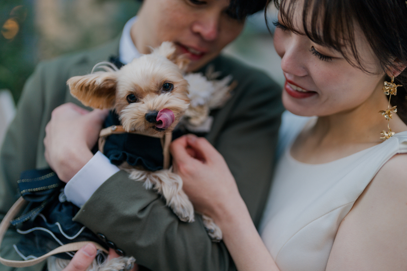 撮影スポット画像