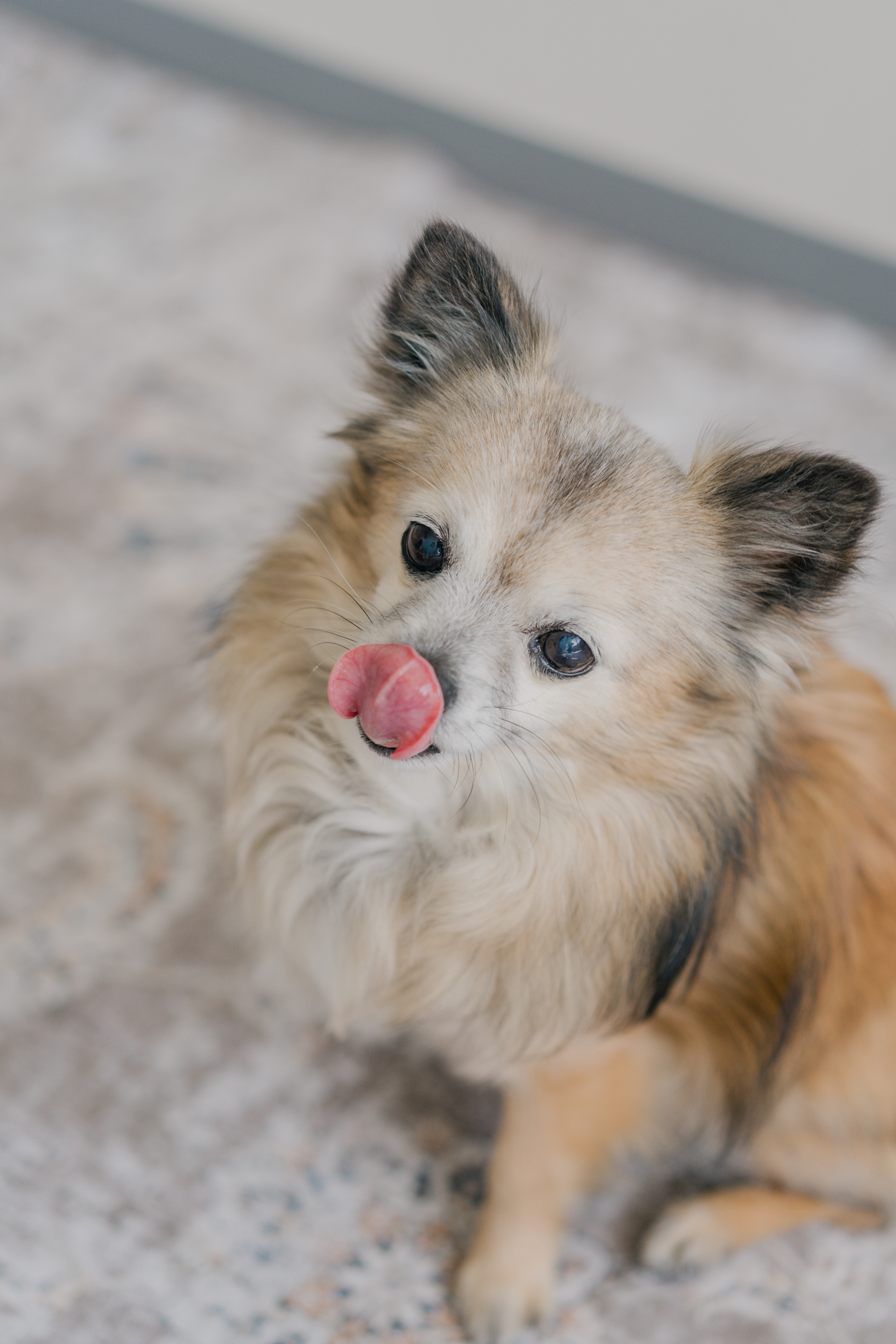 20以上ある撮影シーン