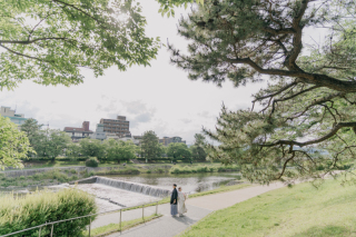 青々しい緑と鴨川♪夏を感じますね＾＾