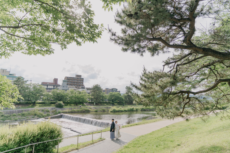 青々しい緑と鴨川♪夏を感じますね＾＾