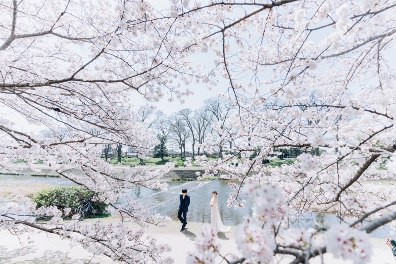 【オープニングムービー無料】2026春限定！和装プラン写真データ50枚付き/通常&yen;220,000&rarr;&yen;143,000