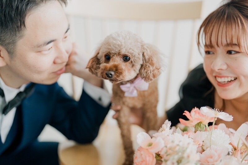 【ペットプラン】スタジオペット前撮りプラン!万が一の保険も込み込みで安心!