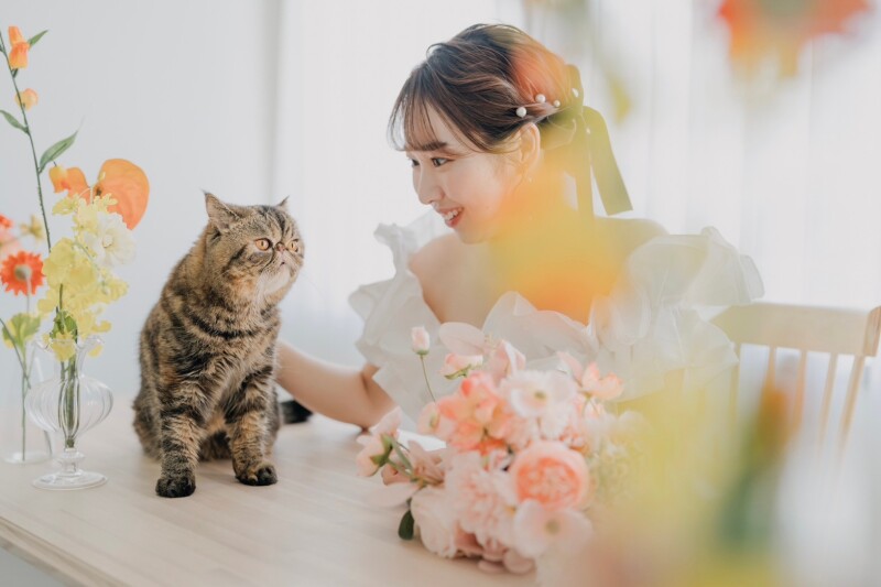 【ペットプラン】スタジオペット前撮りプラン!万が一の保険も込み込みで安心!