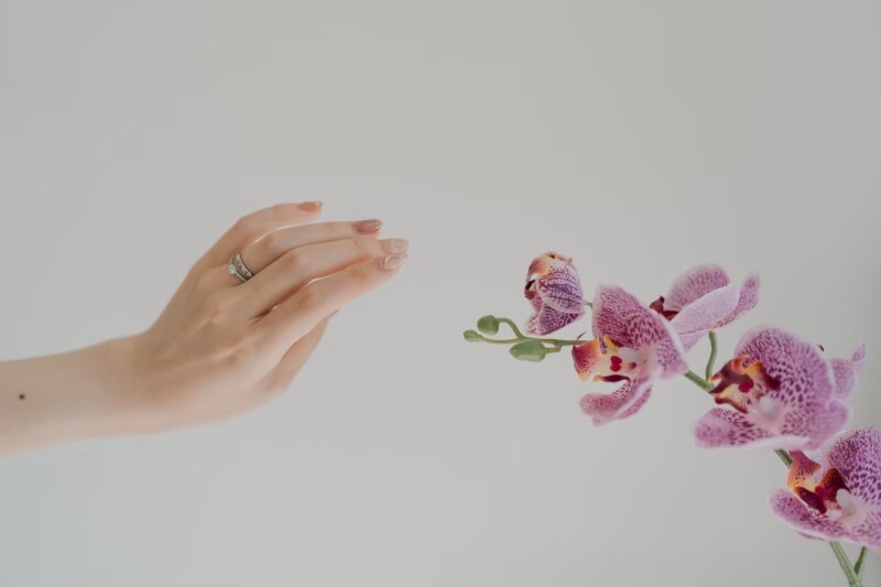 【洋装2着スタジオプラン】データ150枚付1650,000円!