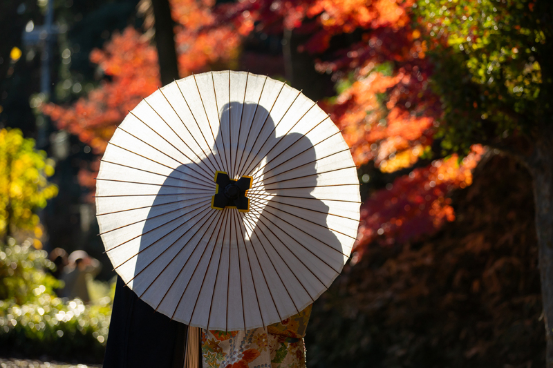 偕楽園もみじ谷にて