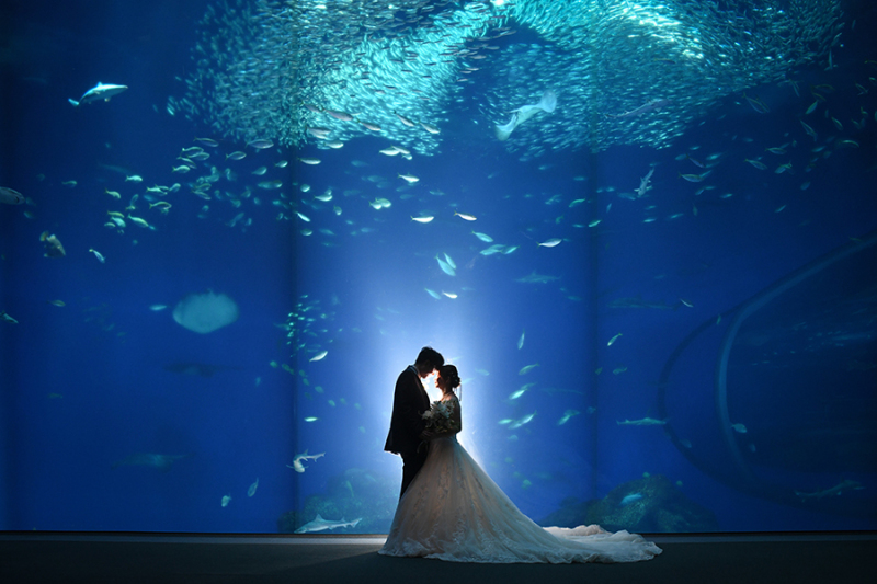 (3月)＊水族館＊洋装ロケーション1着プラン＊曇り♪