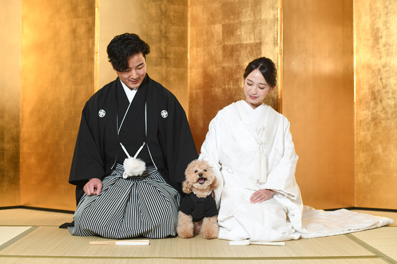 スタジオ背景：金屏風