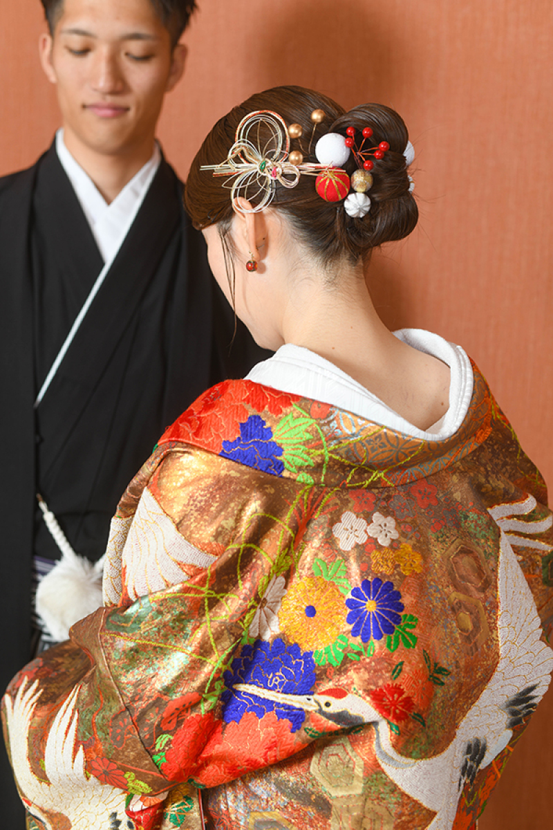 スタジオ背景：ブラウンバック