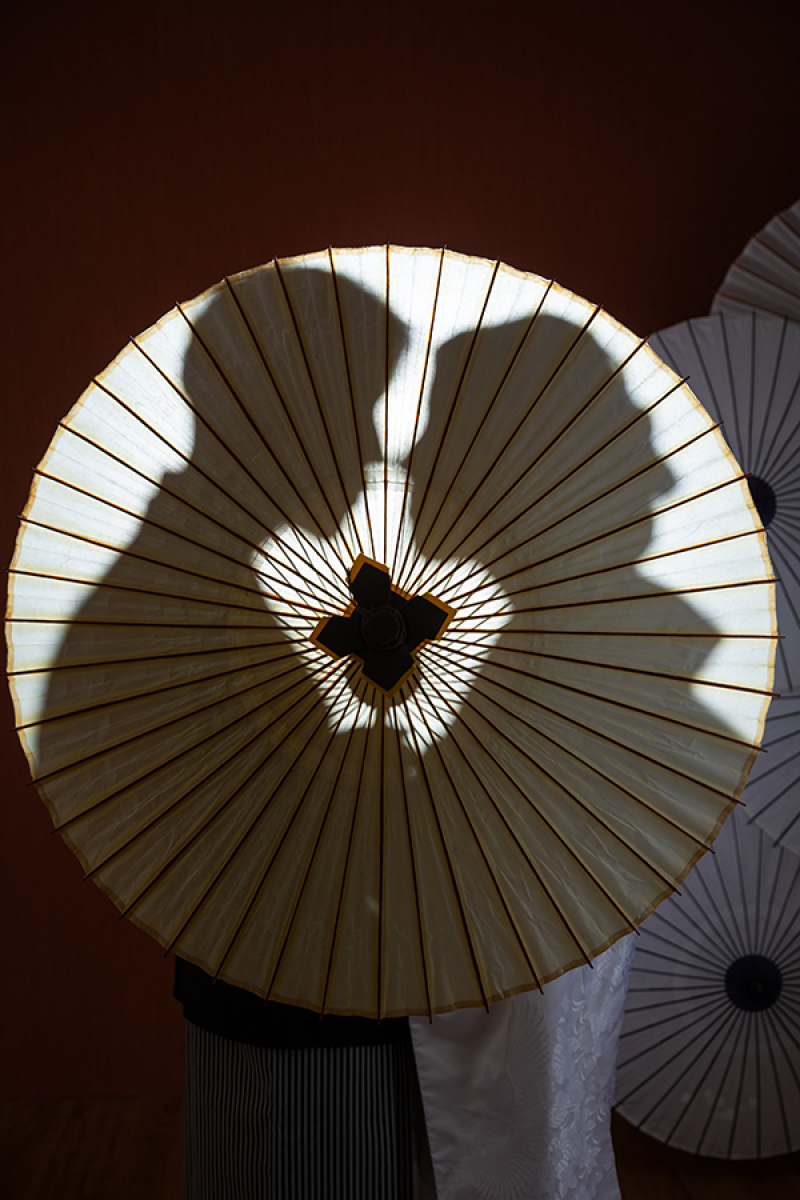 スタジオ背景:ブラウンバック