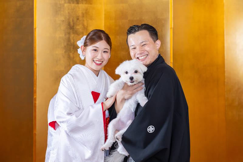 スタジオ背景：金屛風