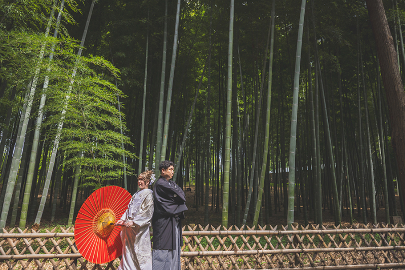 偕楽園竹林にて