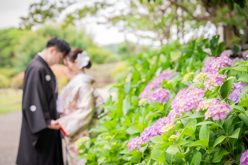 偕楽園紫陽花にて