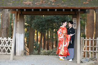 (1月)＊和装洋装＊偕楽園・スタジオ撮影＊晴れ色打掛/WD