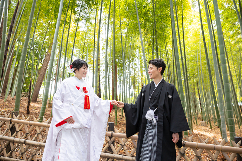 偕楽園竹林にて