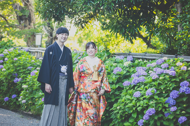 偕楽園の紫陽花