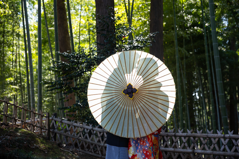 偕楽園竹林にて