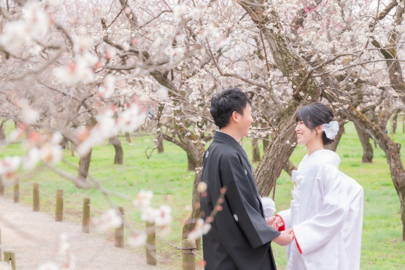 今年の梅シーズンは...