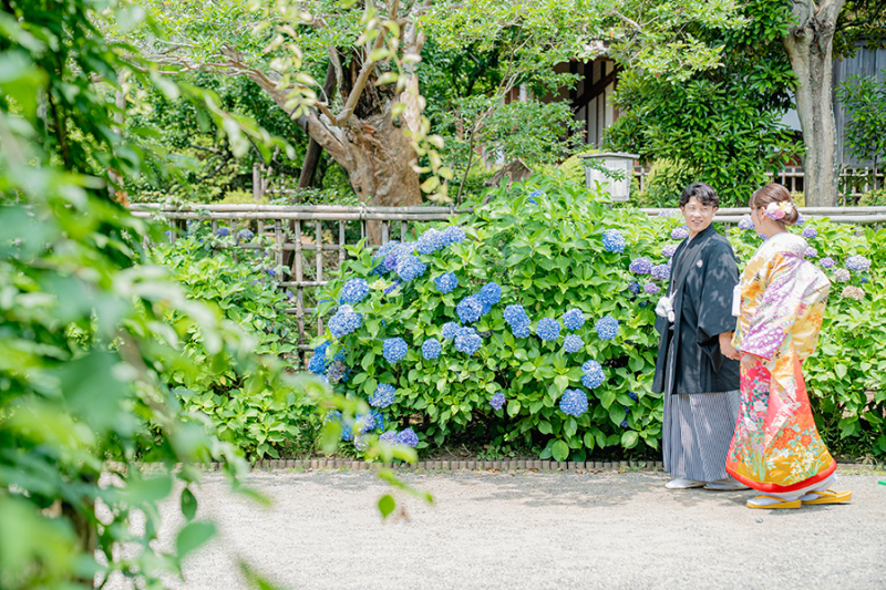 偕楽園紫陽花にて