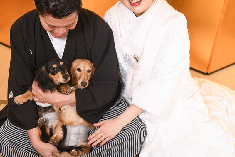 スタジオ背景：金屏風