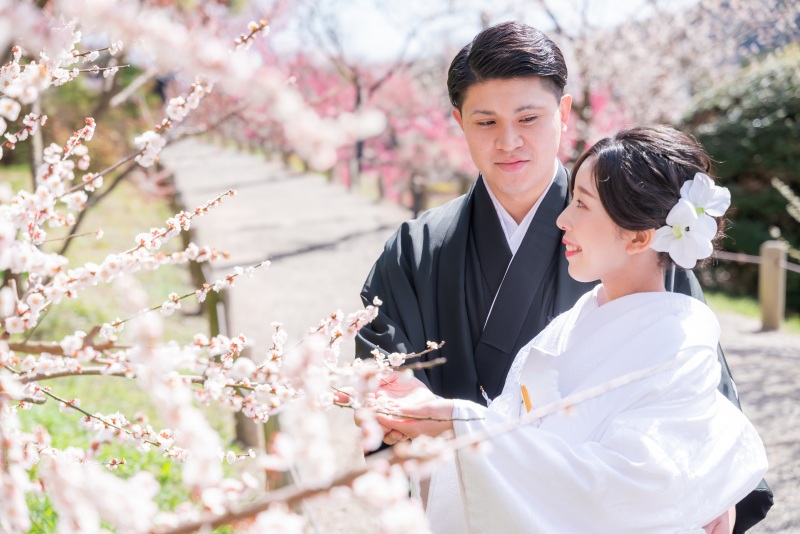 偕楽園内には梅以外にも撮影ポイントが点在