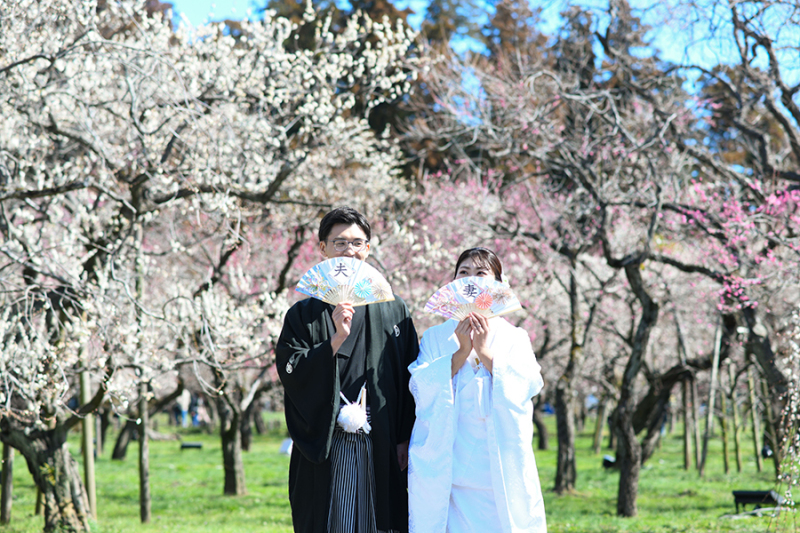 偕楽園梅林にて