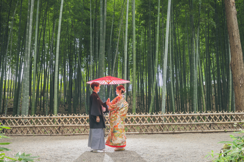 偕楽園竹林にて