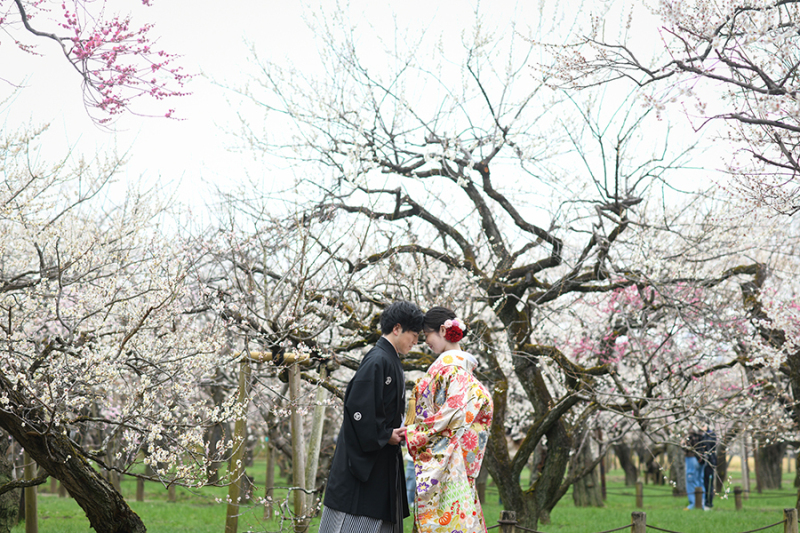 偕楽園梅林にて