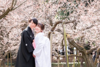  (3月)＊偕楽園＊梅香るロケーション&スタジオ撮影2着＊色打掛/白無垢　綿帽子