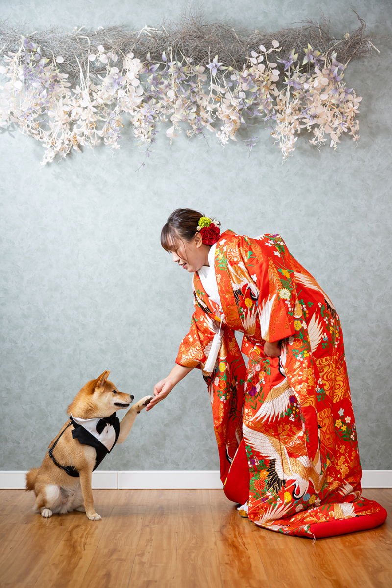 スタジオ背景：フラワーバック