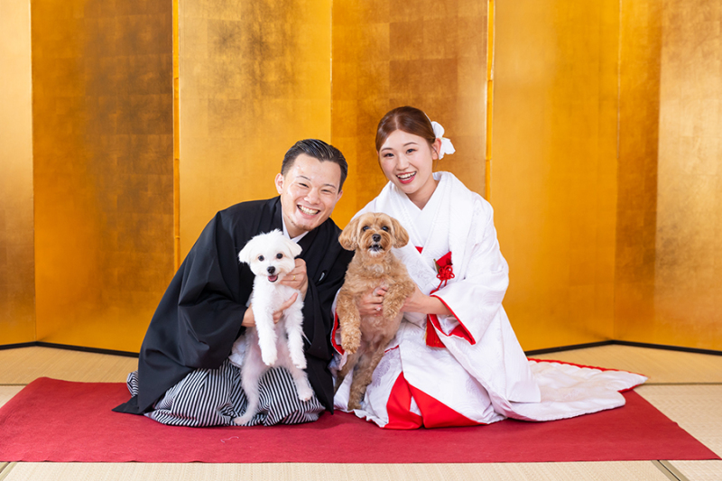 スタジオ背景：金屛風