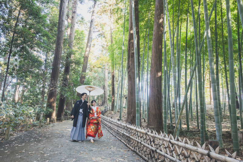 偕楽園竹林にて