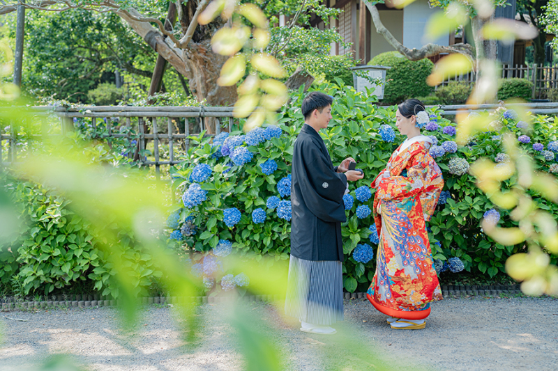 偕楽園紫陽花にて