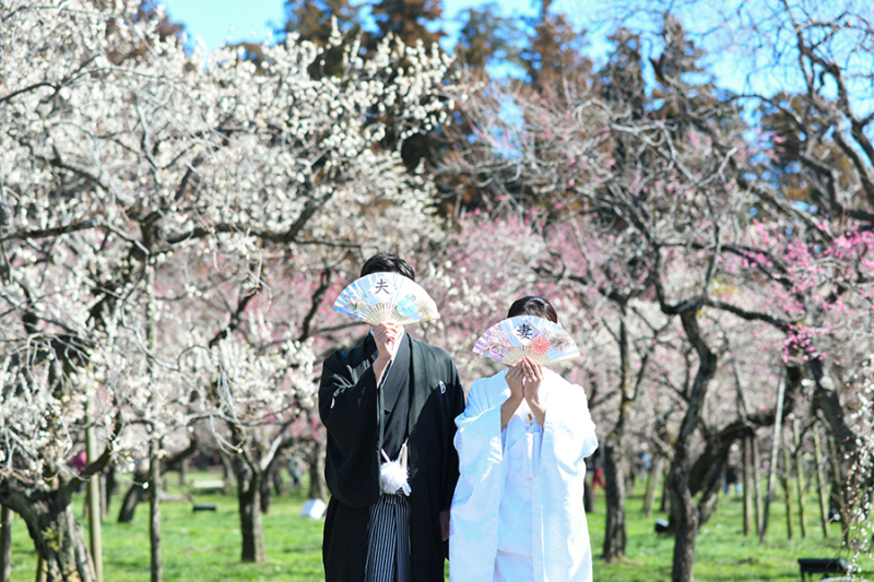 偕楽園梅林にて